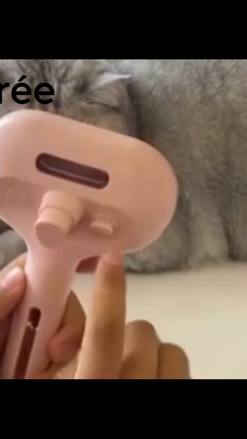 Brosse vapeur pour animaux – 3-en-1
