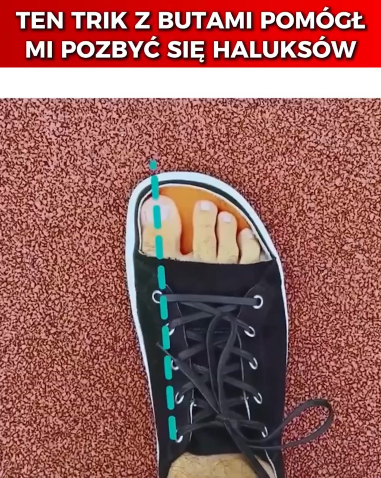 Podolodzy polecają!