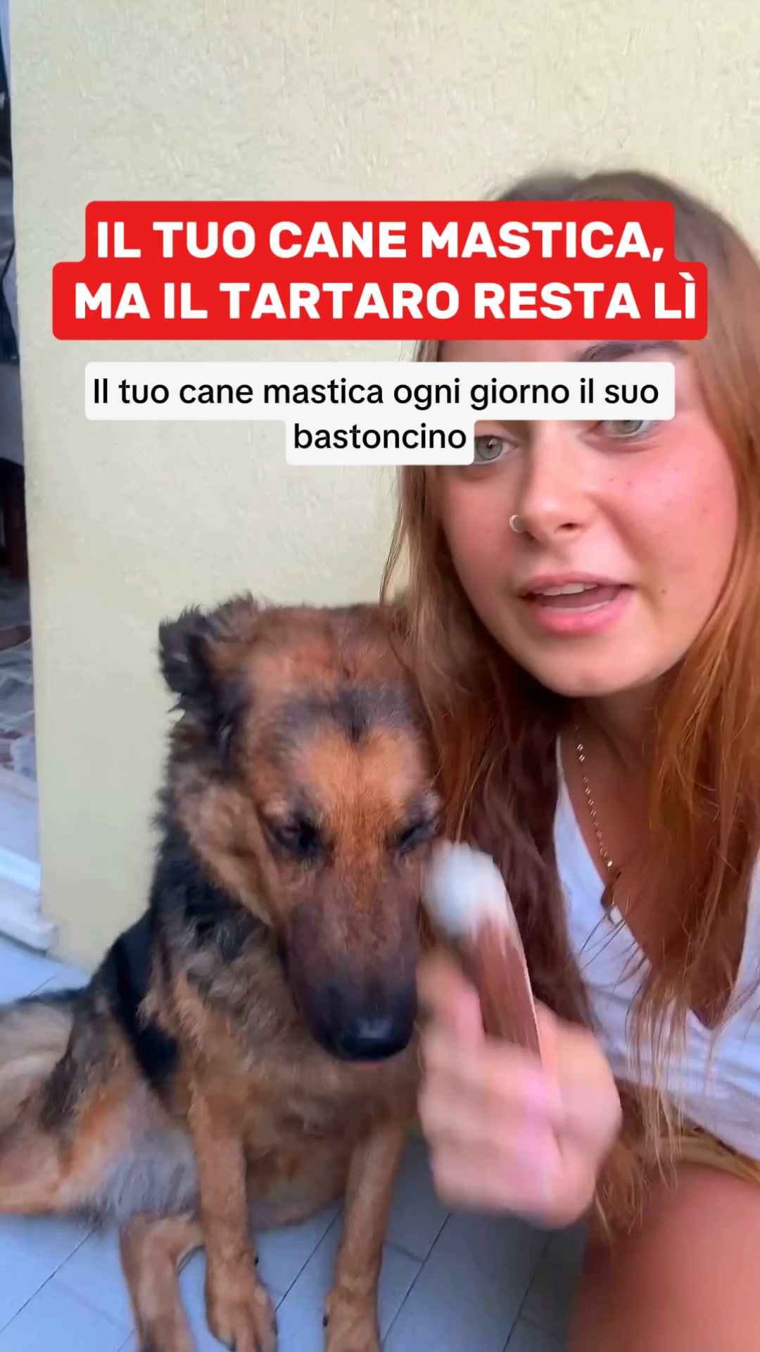 Aiuta il tuo cane oggi