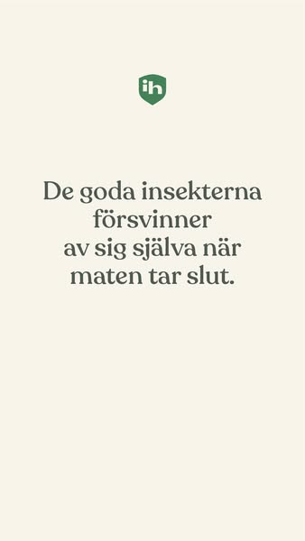 Förstör insekter dina växter?