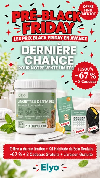 PRÉ-BLACK FRIDAY : 3 achetés + 3 OFFERTS