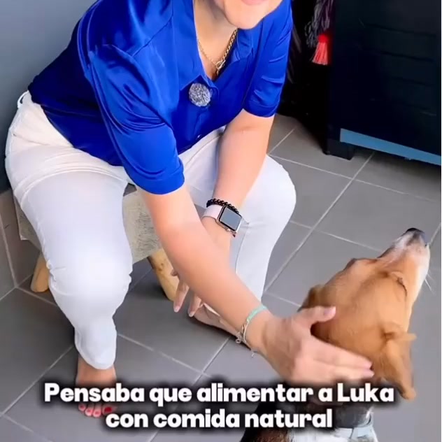Comida cocinada de verdad, con ingredientes reales y un precio que sorprende
