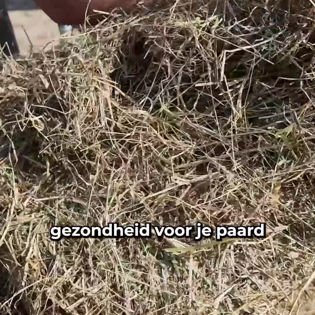 Bestel jouw Slowfeeder XXL nu!