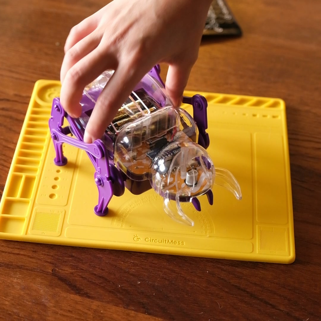45-Minute Build. Ages 7+.