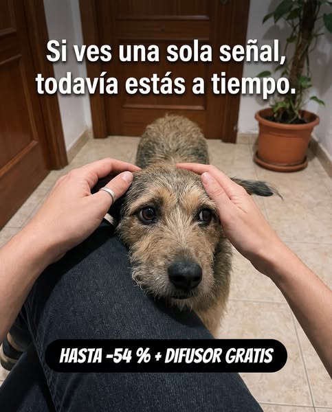 Hasta −54 % + difusor GRATIS