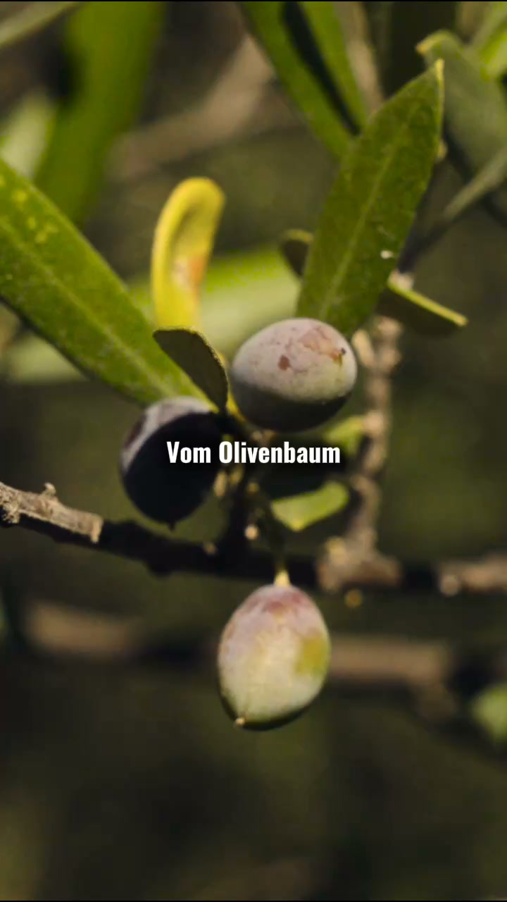 30% Preisvorteil