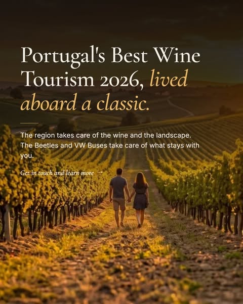Bairrada Wine Tours in Classic VWs