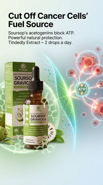 BUY 2 GET 1 FREE + FREE SHIPPINGDon't miss out!