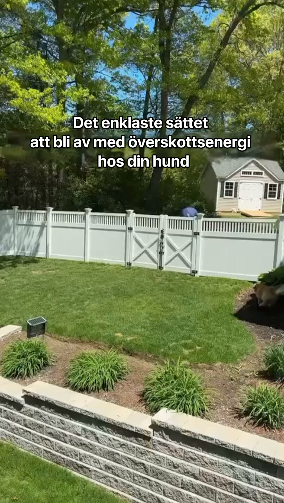 #1 Interaktiv Boll