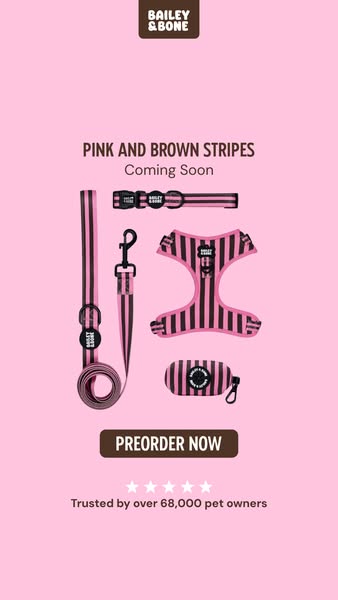 Pre-order: Pink And Brown Stripes