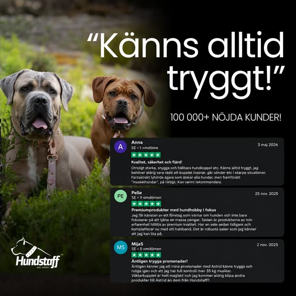 Byggd för hundar som kräver mer.