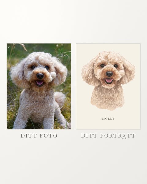 Målat portätt på din hund