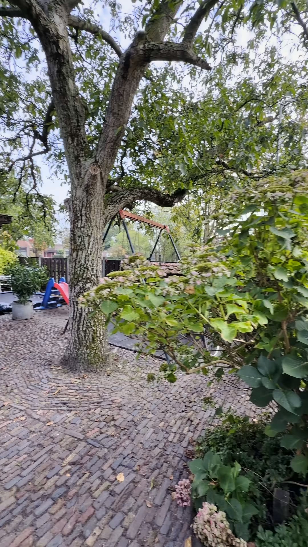 8K Wildcamera met Zonnepaneel
