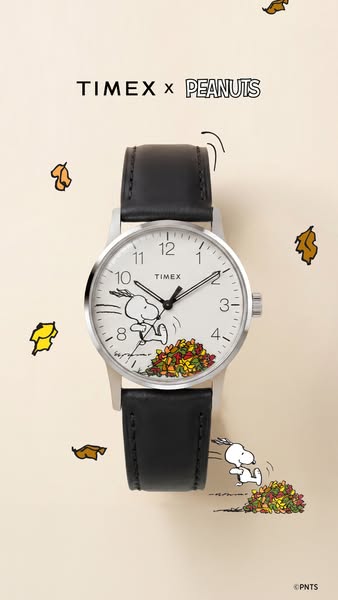 Fall Fun Starts Here