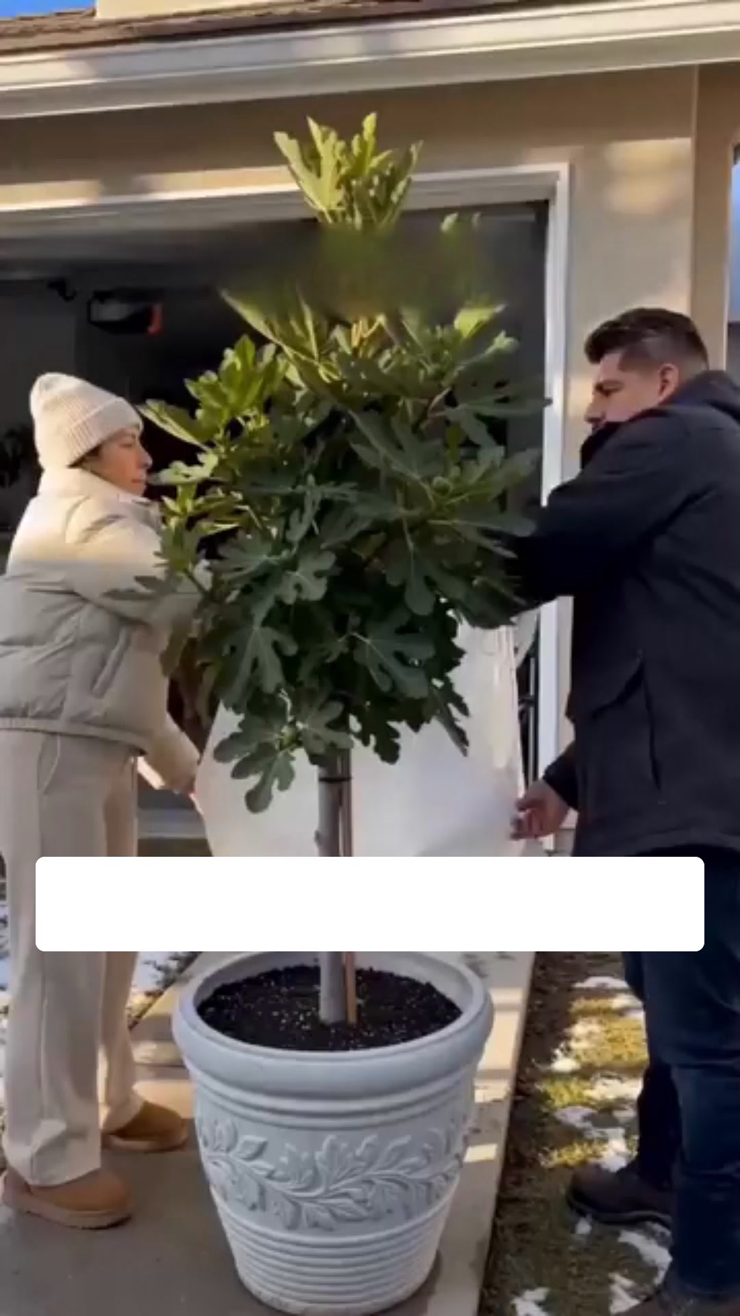 Gratis fragt
