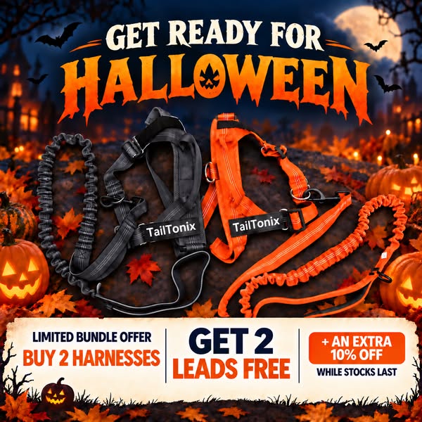 2 Harnesses. 2 FREE Leads. Extra 10% Off.