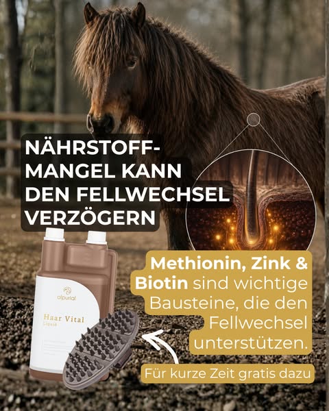 Fellwechsel Einkauf