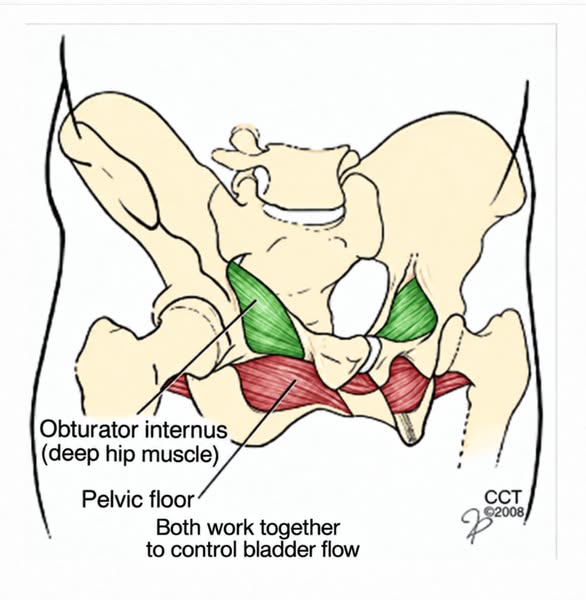 Get back bladder control