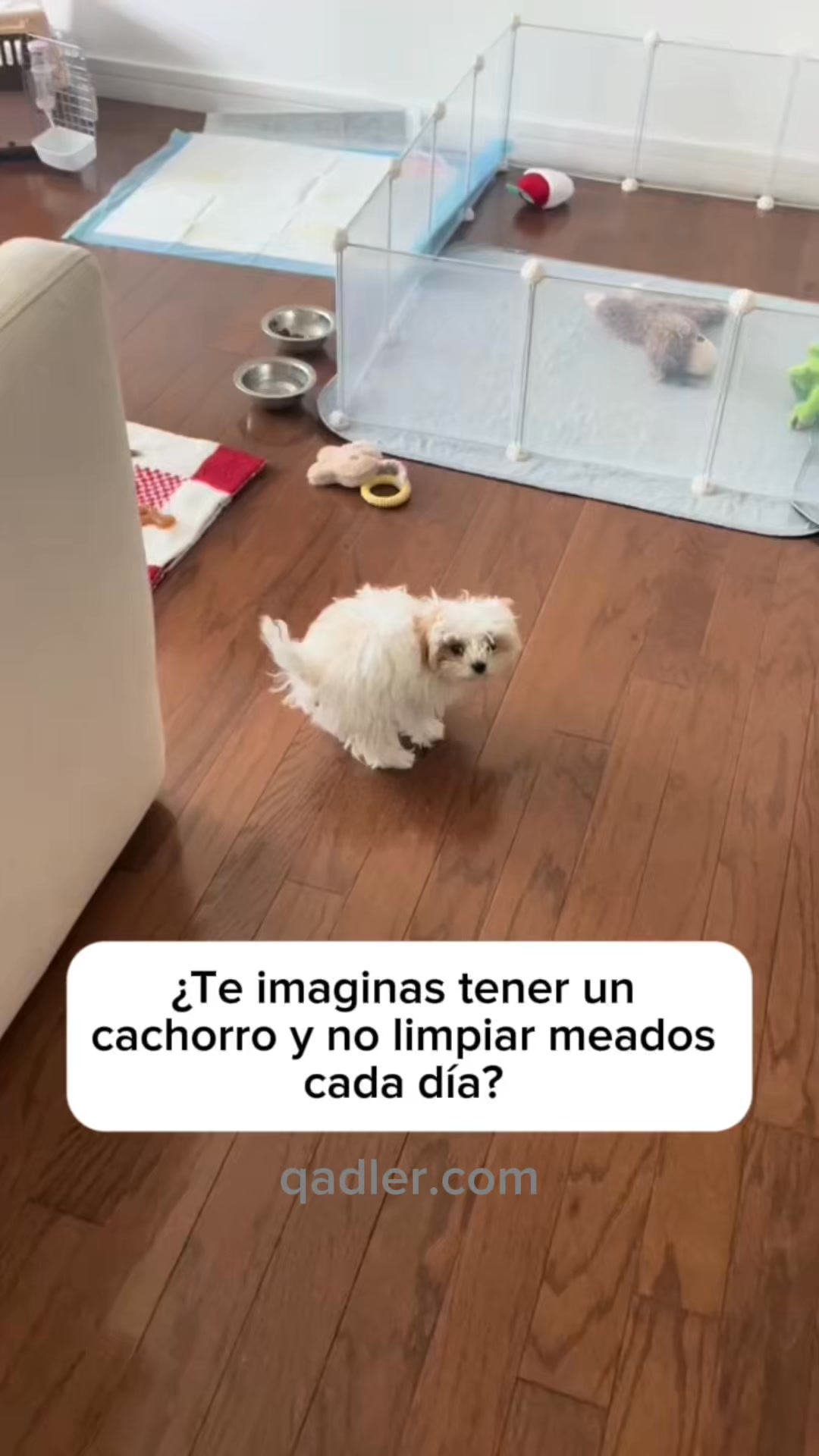 Para los días de calor en que no puedes sacarle.