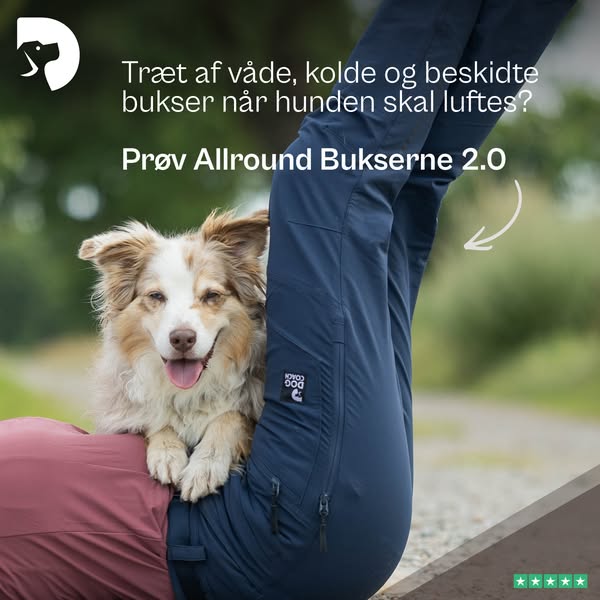 Designet til hundelivet. Stylet til hverdagen.
