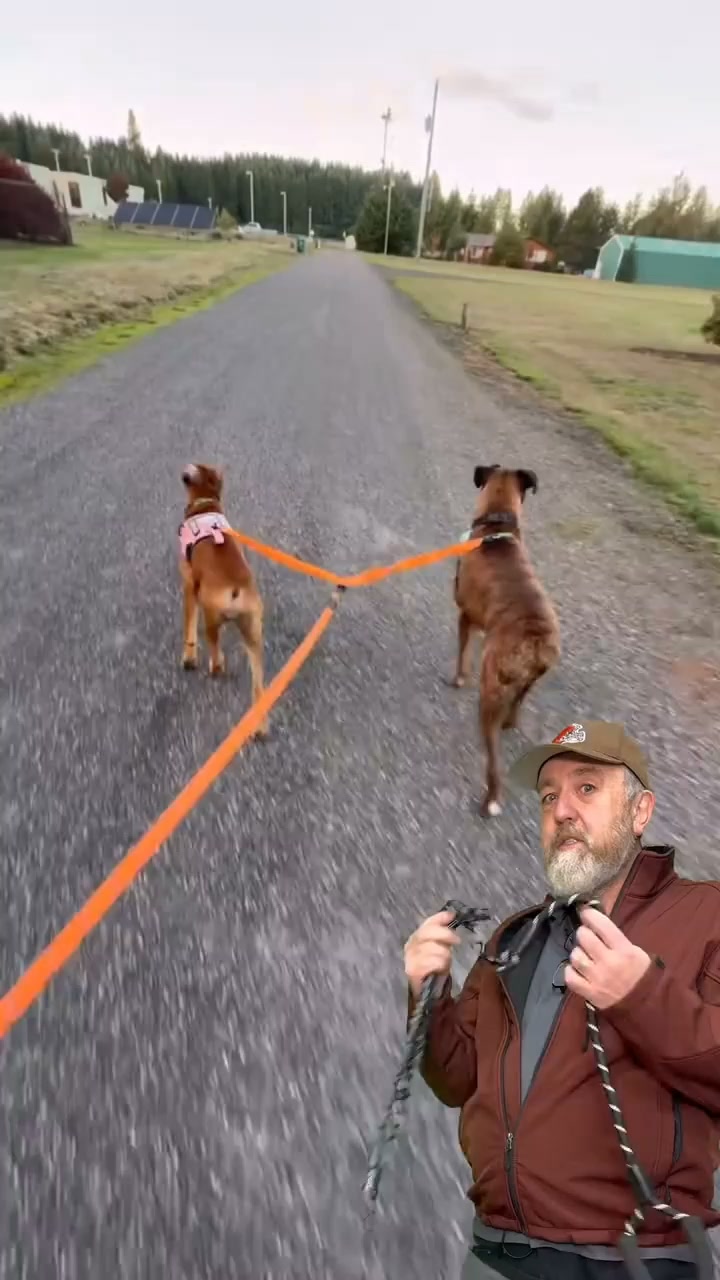 They Cross. The Leash Doesn’t.