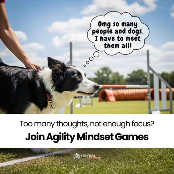New: Agility Mindset Games - $27