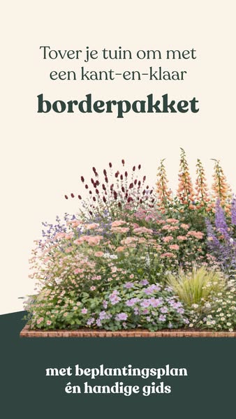 Bestel een borderpakket