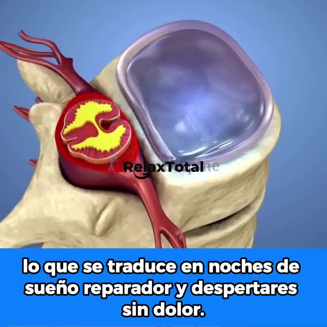 Pago Contrareembolso y Envío en 24-72h