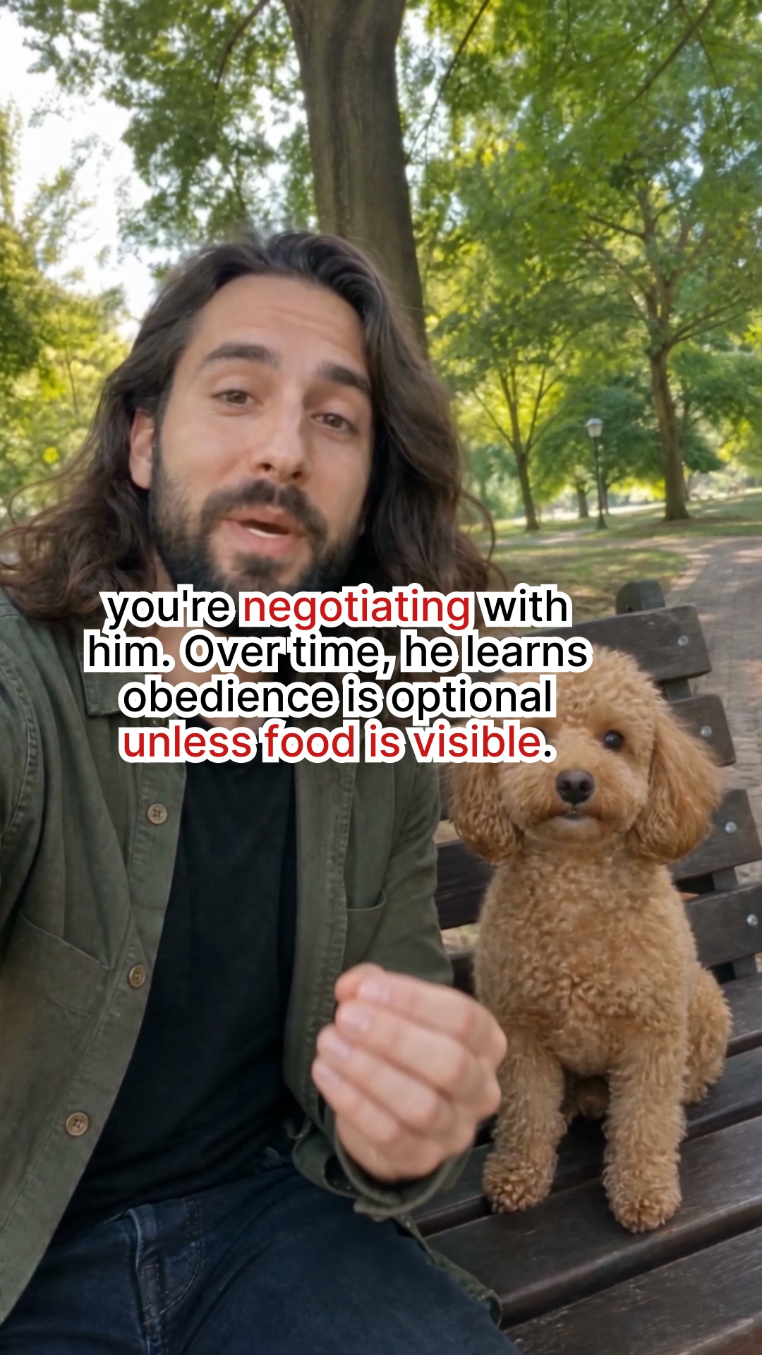 Start Small Dog Manners Routine ▶