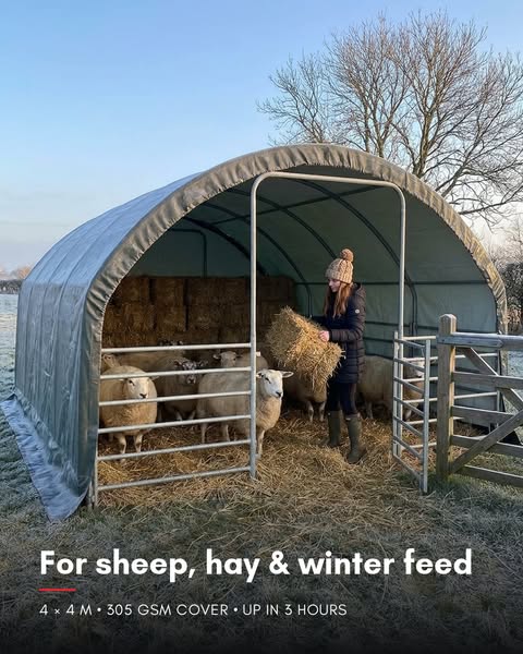 Field Shelter 4m x 4m, Sheep and Pony