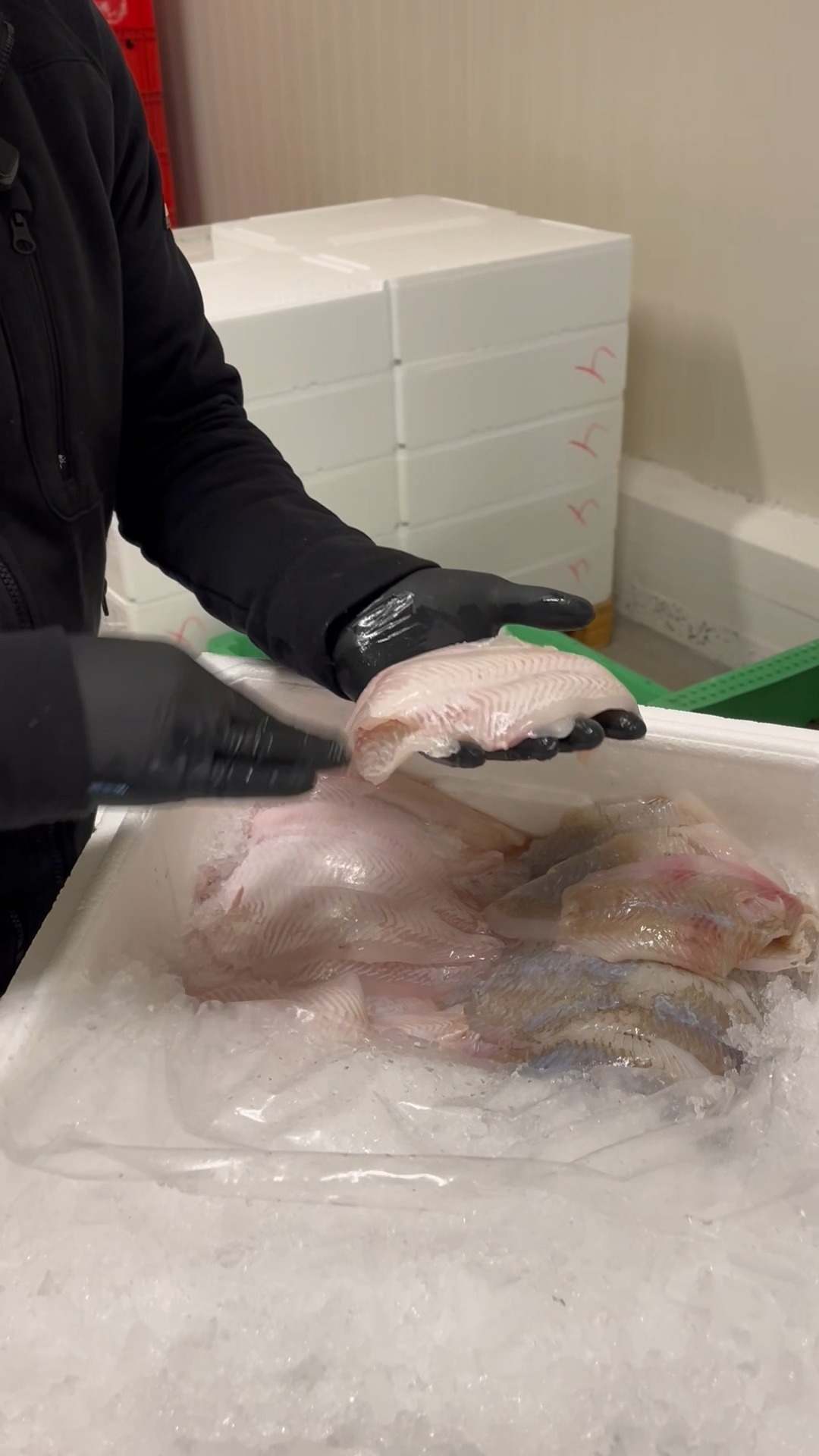 Anúncio de Kystfisken - Levering af friske fisk og skaldyr