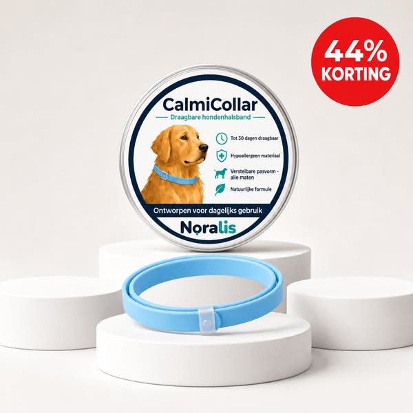 CalmiCollar Hond