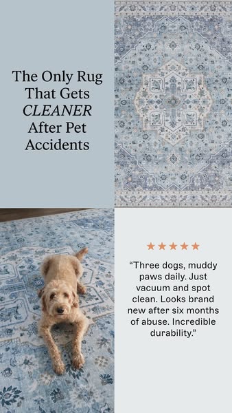 Say goodbye to scrubbing with spillproof, machine washable rugs. Safe for pets & kids, and contains zero PFAS or BPA. All sizes fit in hous