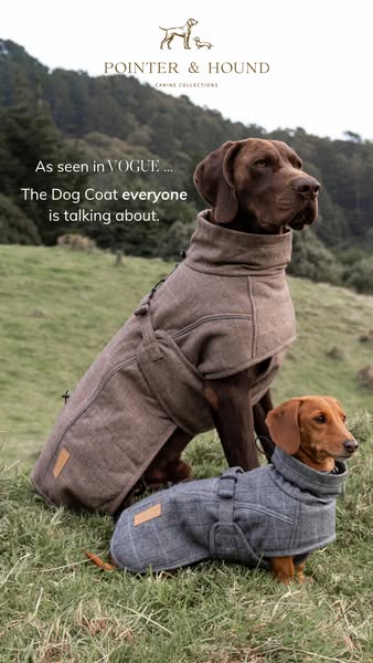 Premium Dog Gear