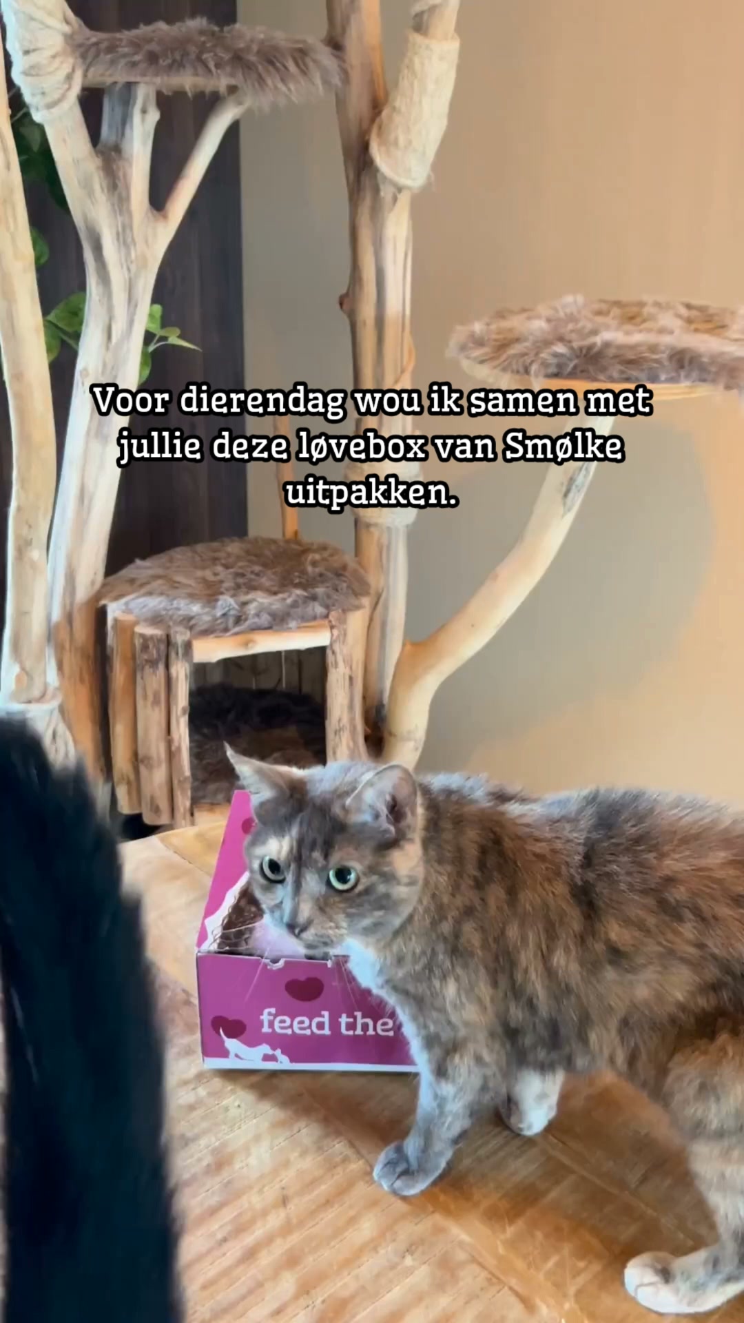 Vier Dierendag met Smølke