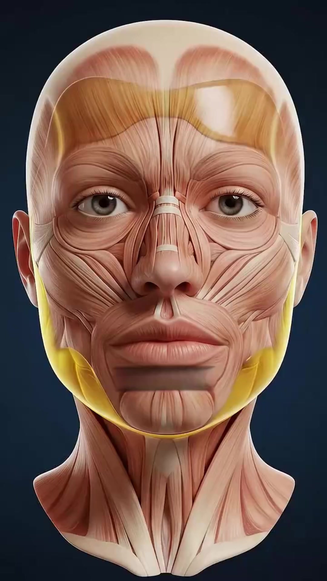 https://getfeelora.com/products/oreganox