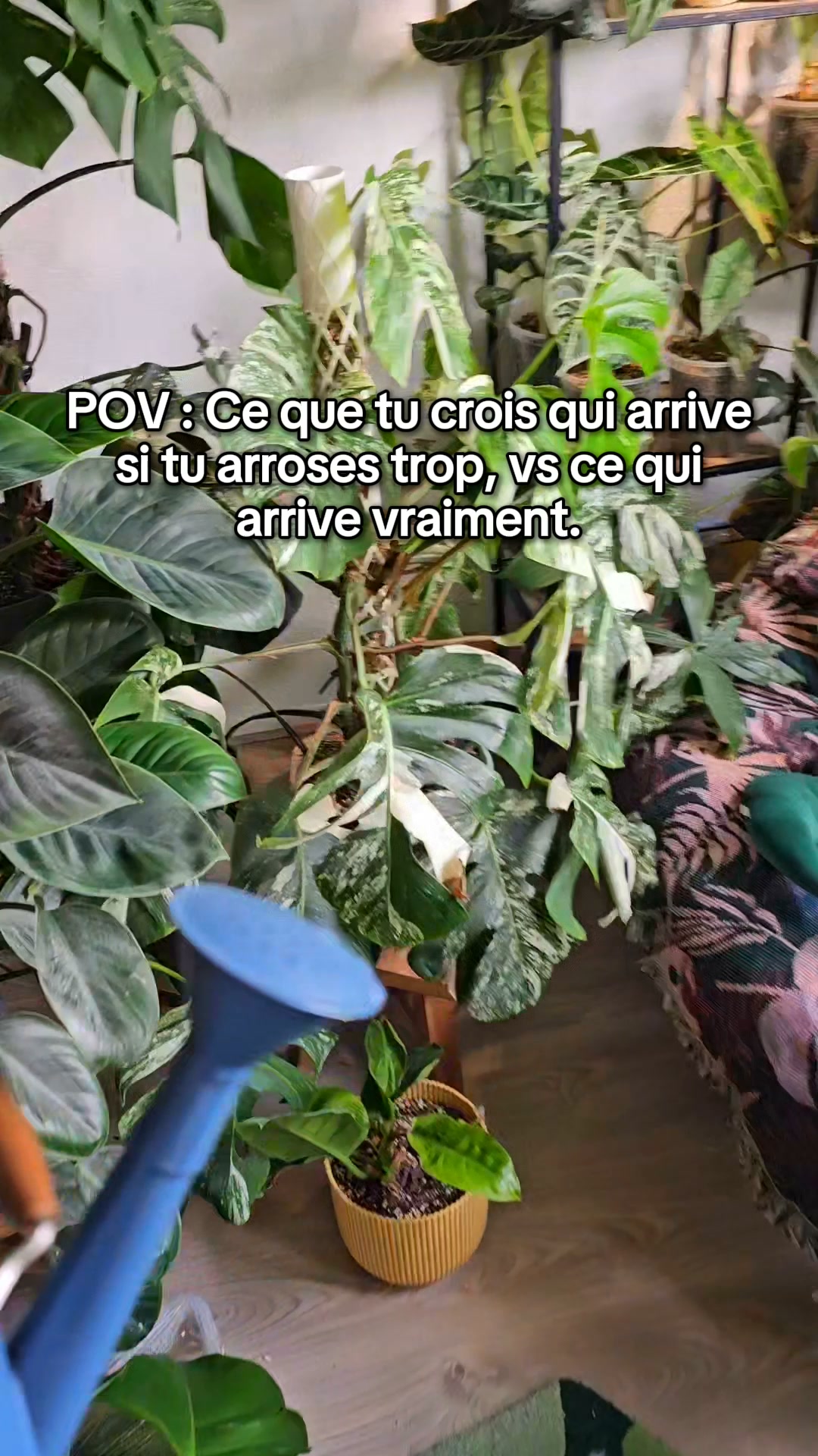 Noté 4,8/5 sur trustpilot ( 5000+)