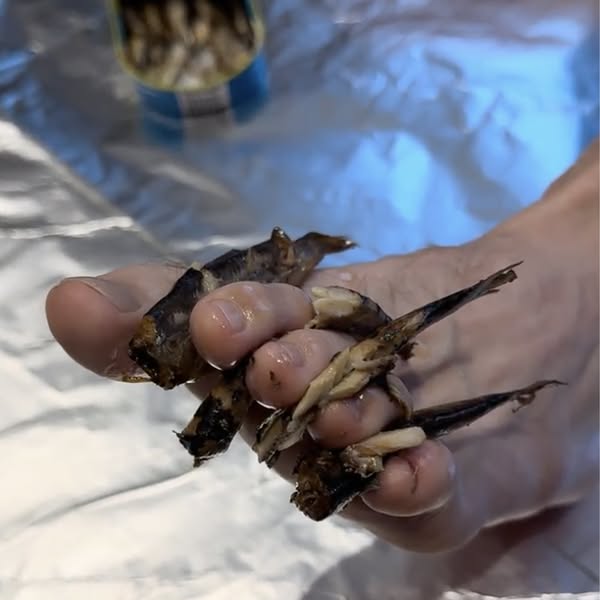I Found Sardines Between His Toes