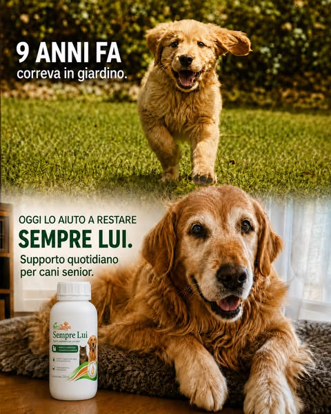 Aiutalo a restare Sempre Lui.