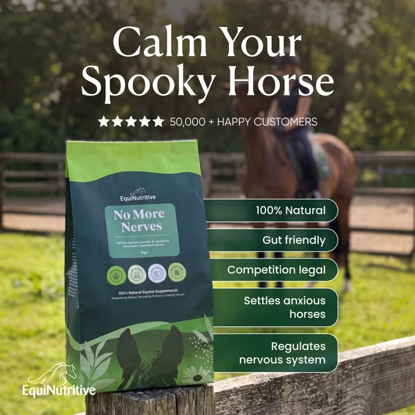 Calm Your Horse Naturally with No More Nerves!