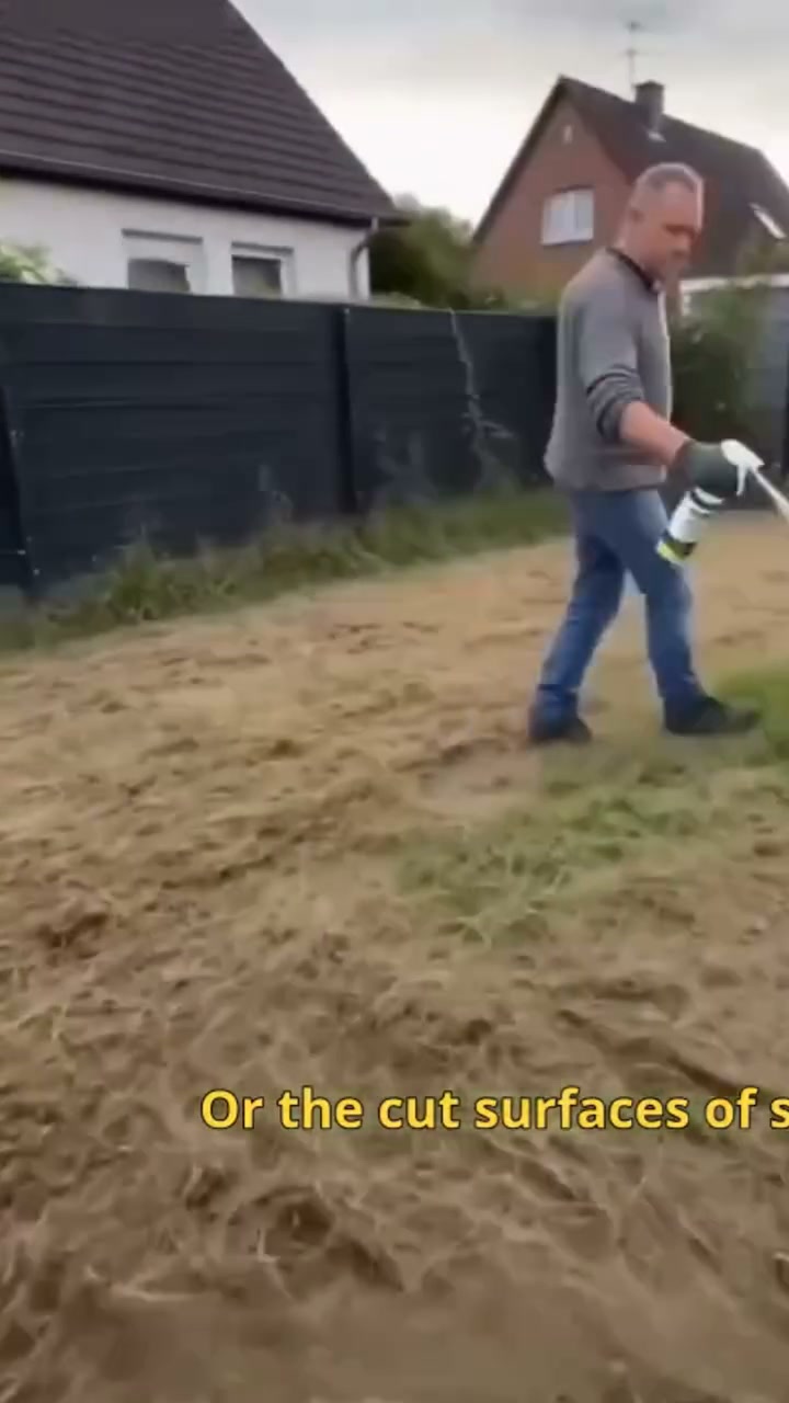 Herbicide for domestic use