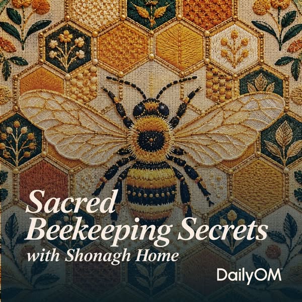 The Ancient Secrets Hidden Inside the Hive