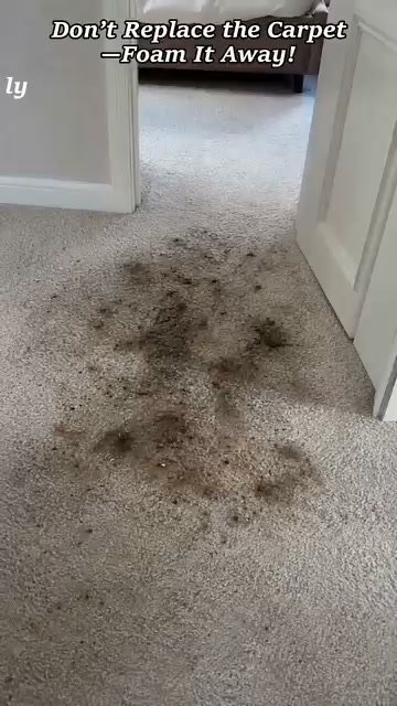 Carpet Rescue Foam Deep Clean Without Rinsing
