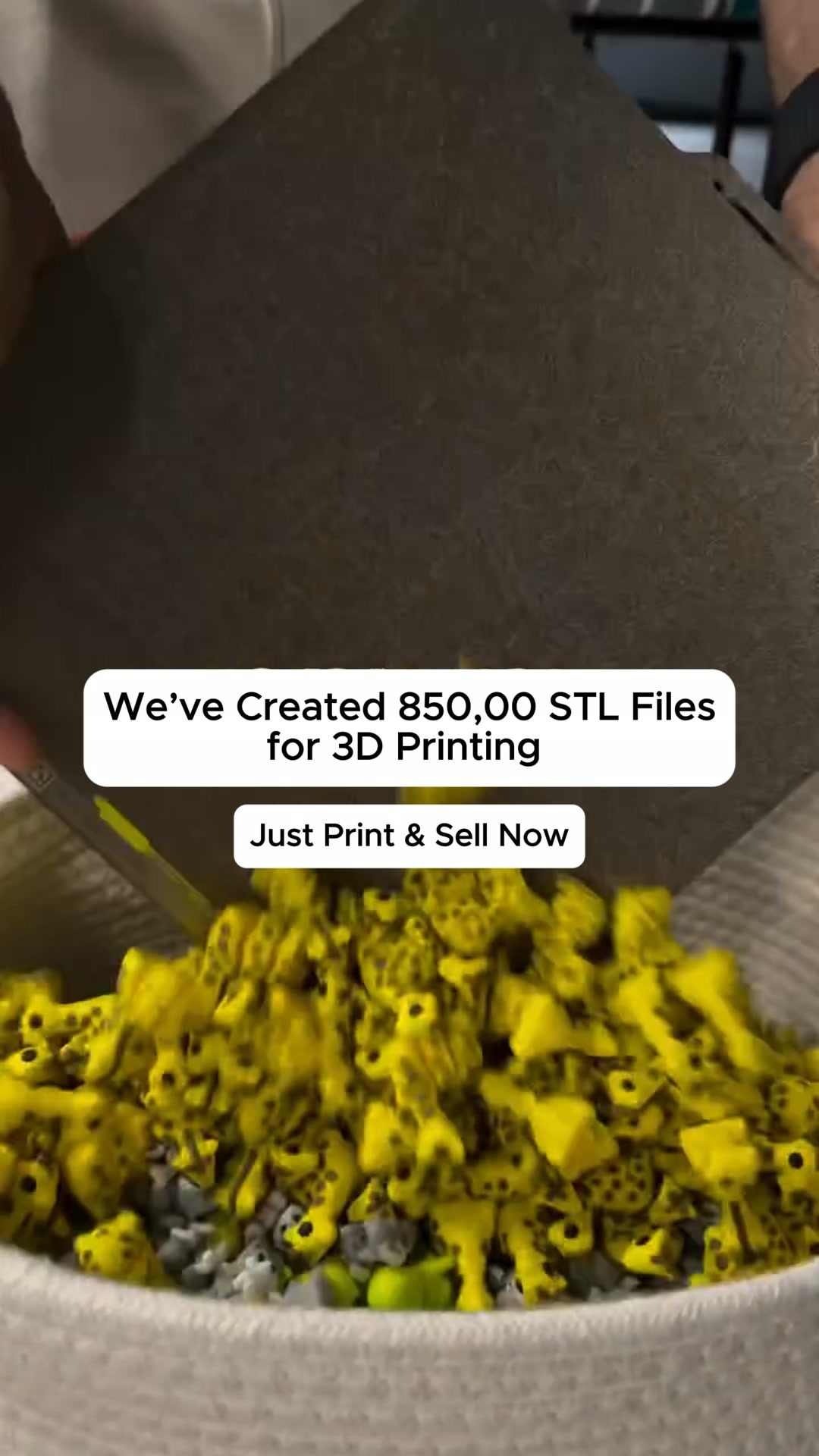 One Category Only $1!