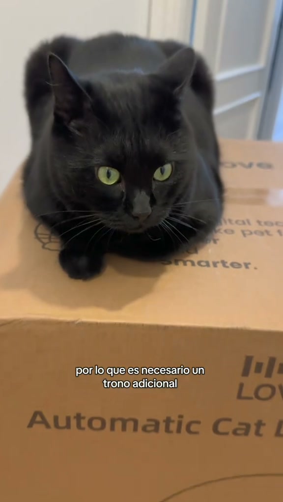 Envío gratuito a toda España