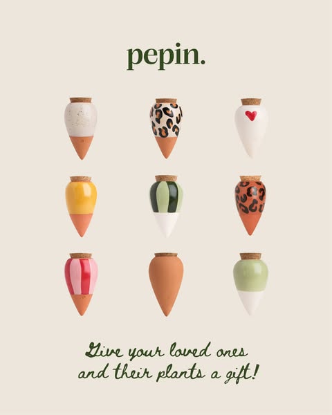A thoughtful gift, easy on the wallet