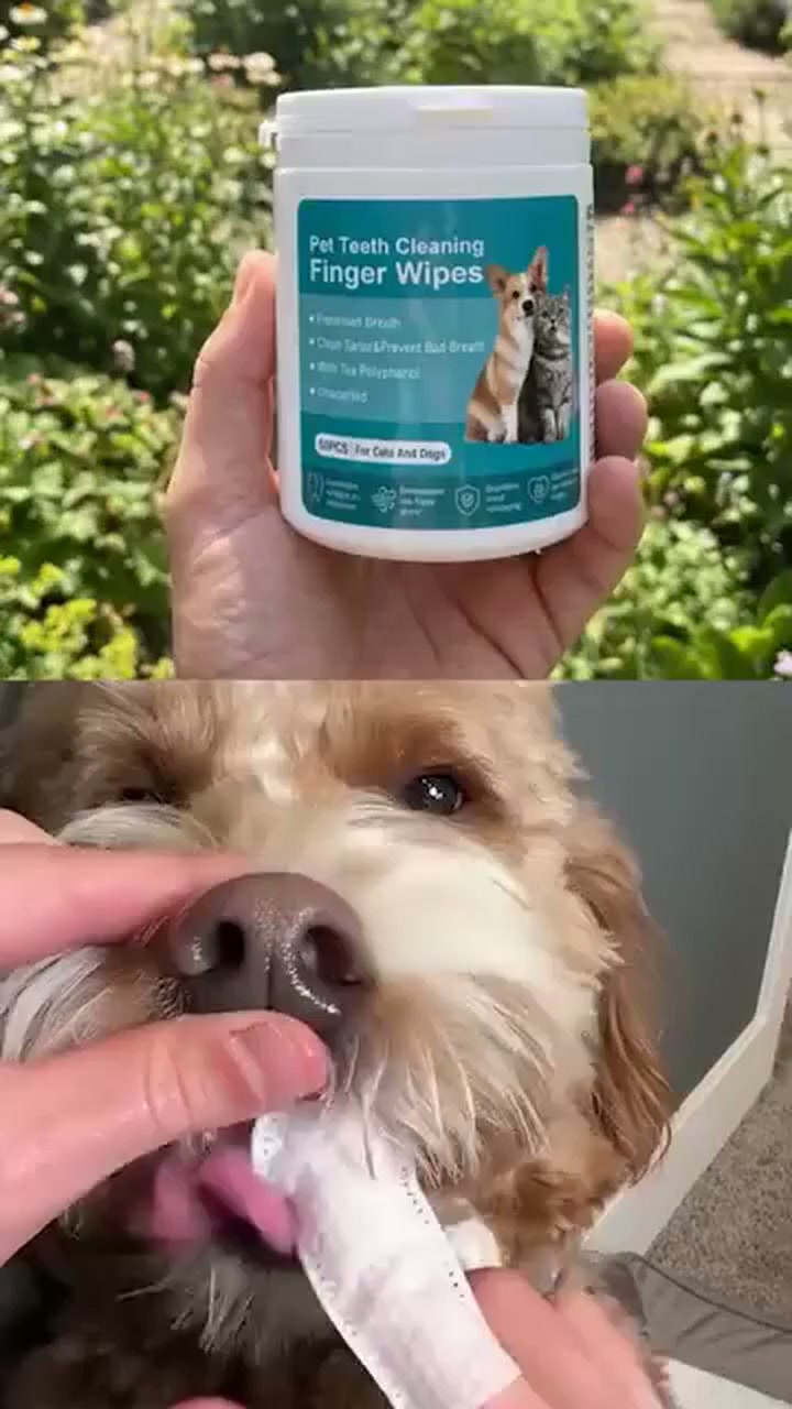 Voorkom Bacteriën & Slechte Adem!