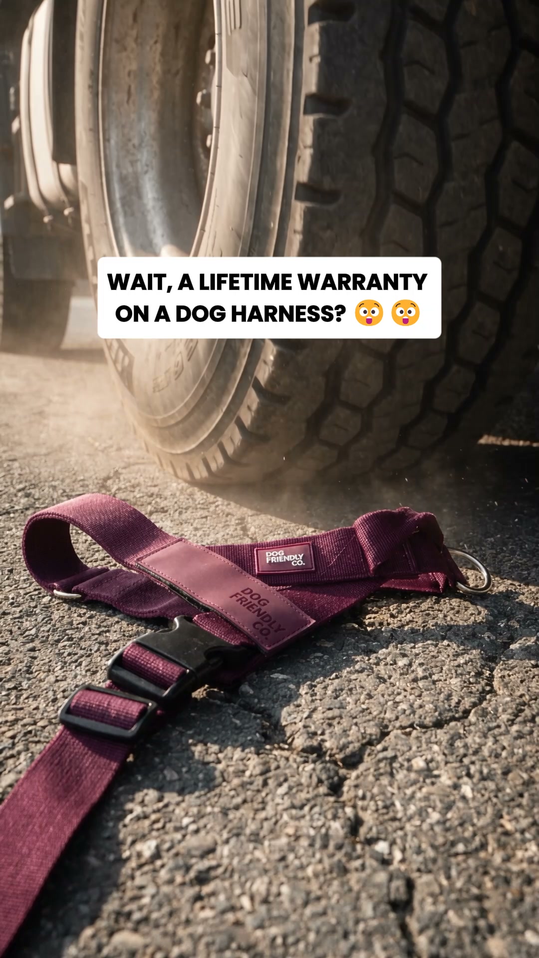 Rated #1 By Dog Owners