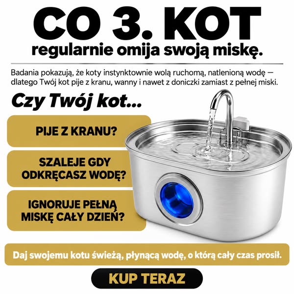 #1 Fontanna dla kotów w Polsce