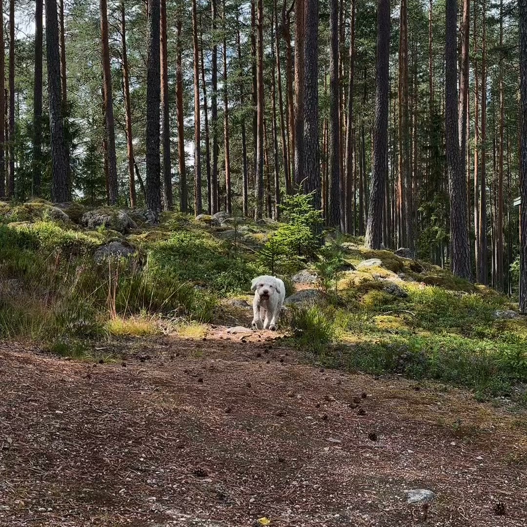 Valjaat, joissa on hyvä olla
